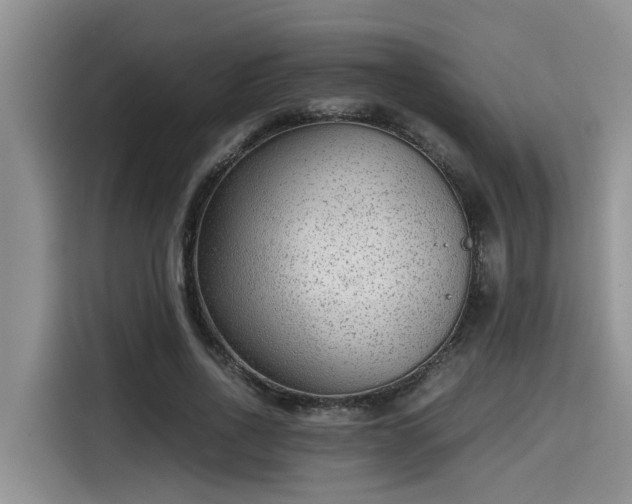 X0000115600734200911171128