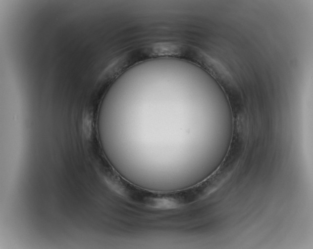 X0000115600741200911171128