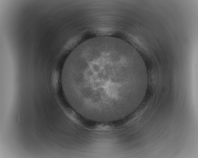 X0000115600742200911171128