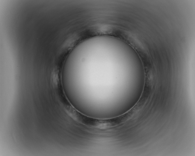 X0000115600746200911171128