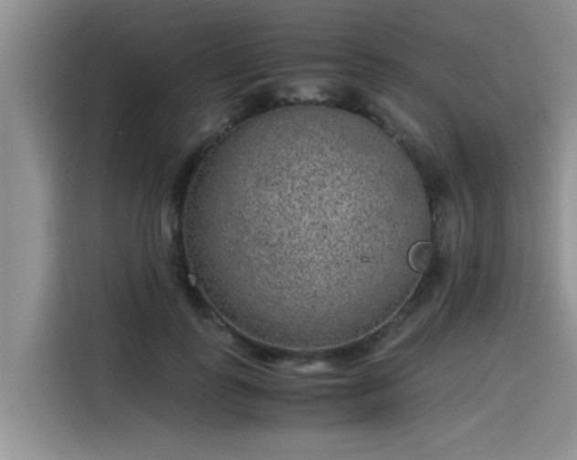 X0000115600747200911171128