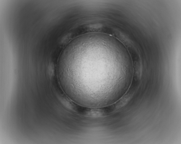 X0000115600758200911171128