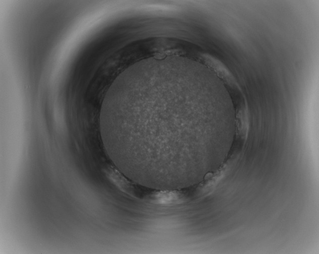 X0000115600762200911171128