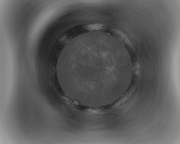 X0000115600763200911171128