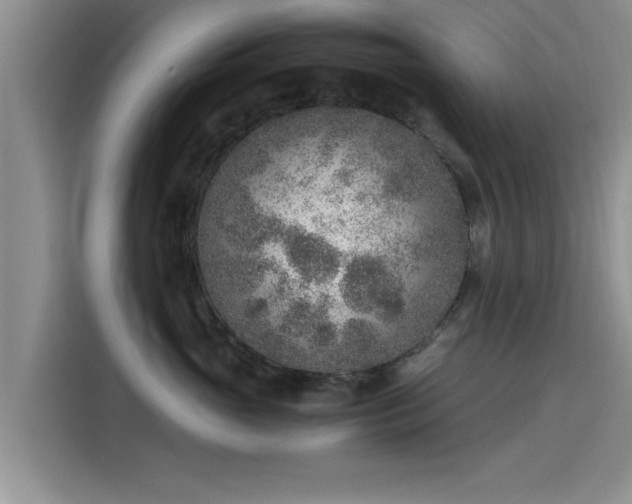 X0000115600765200911171128