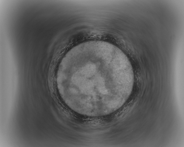 X0000115600769200911171127