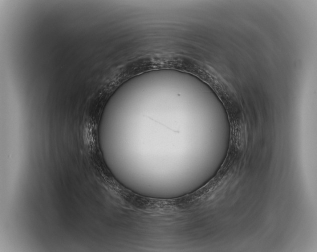 X0000115600770200911171127