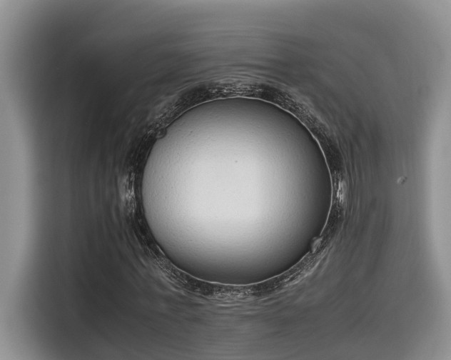 X0000115600771200911171127