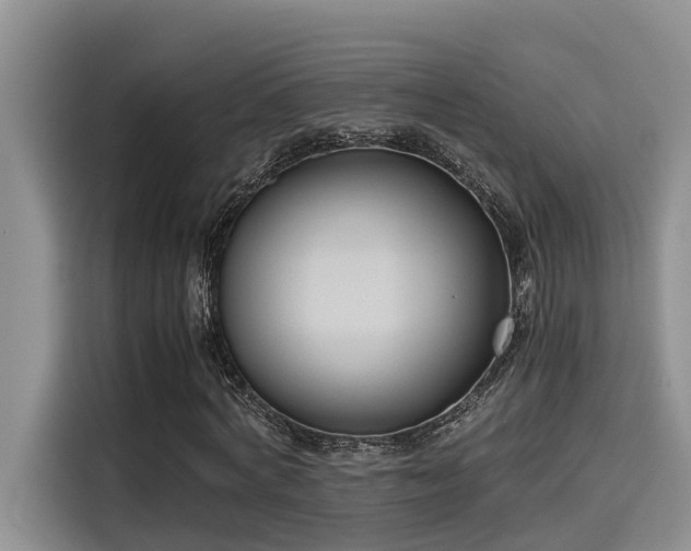 X0000115600772200911171127