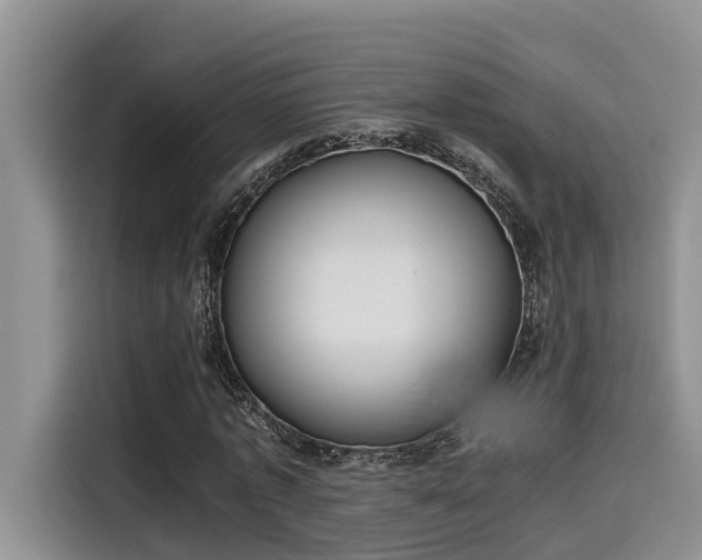 X0000115600773200911171127