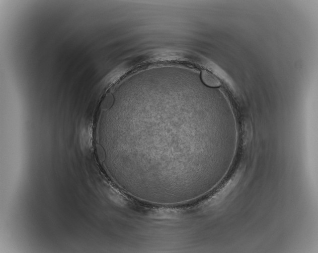 X0000115600777200911171127