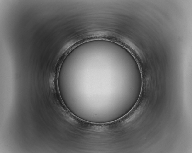 X0000115600778200911171127