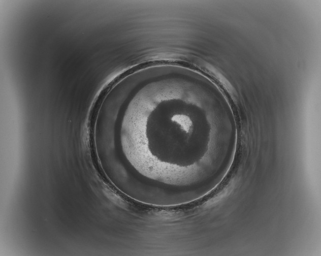 X0000115600779200911171127