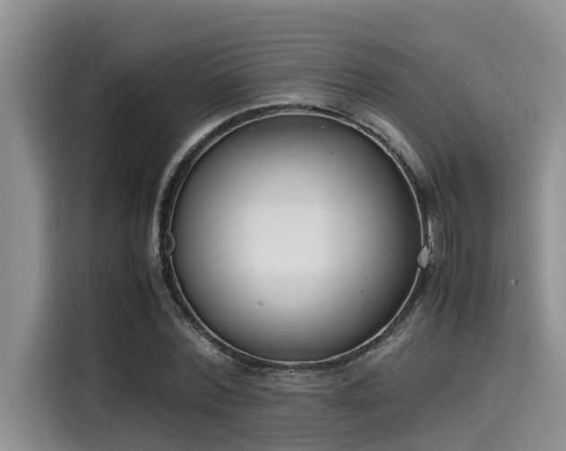 X0000115600780200911171127