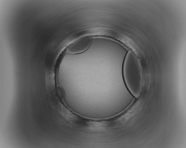 X0000115600781200911171127