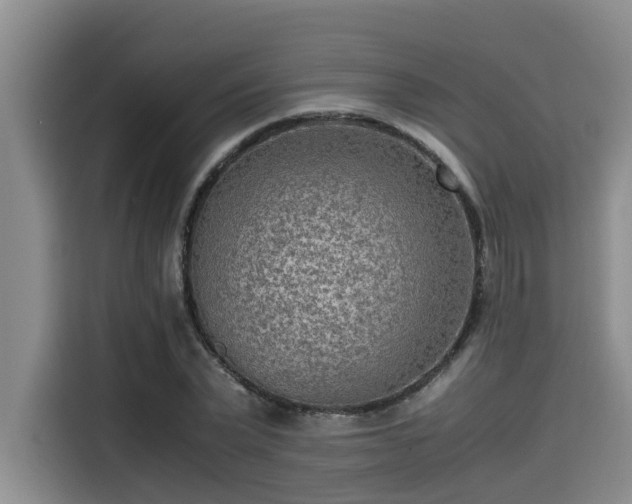 X0000115600783200911171127