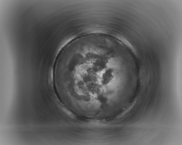 X0000115600790200911171127