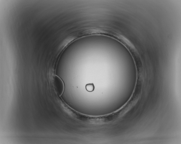 X0000115600793200911171127