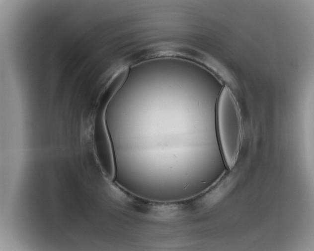 X0000115600801200911171127