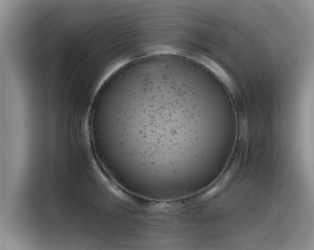 X0000115600806200911171127