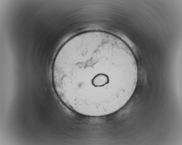 X0000115600807200911171127