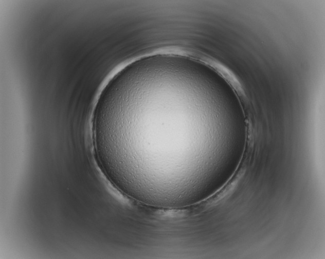 X0000115600808200911171127