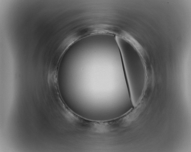 X0000115600809200911171127