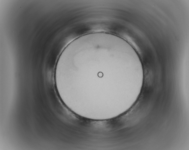 X0000115600810200911171127