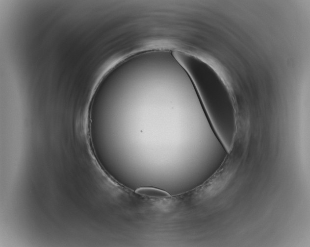 X0000115600815200911171127