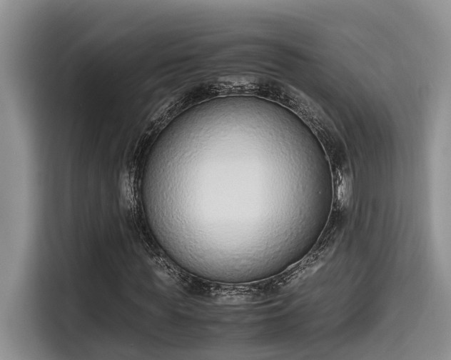 X0000115600819200911171126