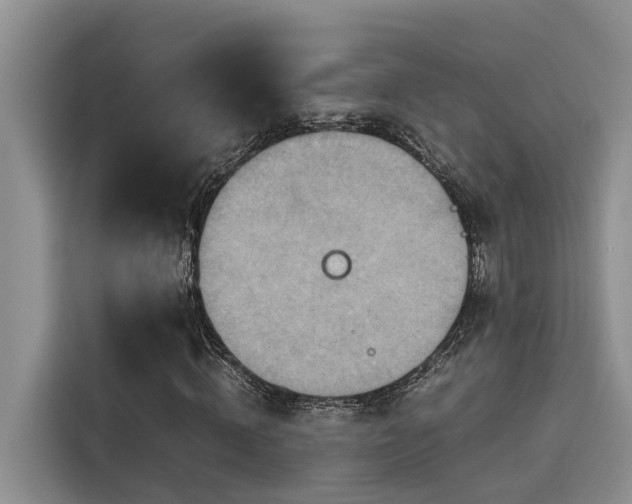 X0000115600820200911171126