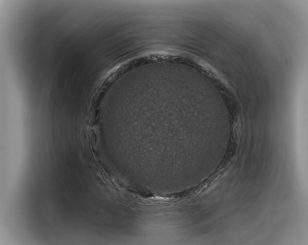 X0000115600822200911171126