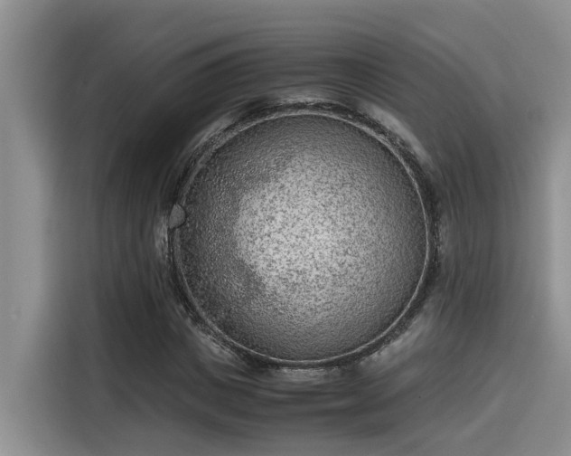 X0000115600825200911171126