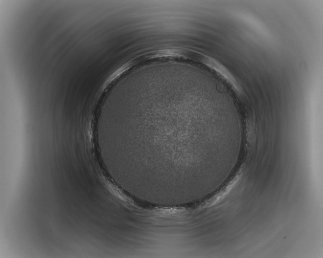 X0000115600826200911171126