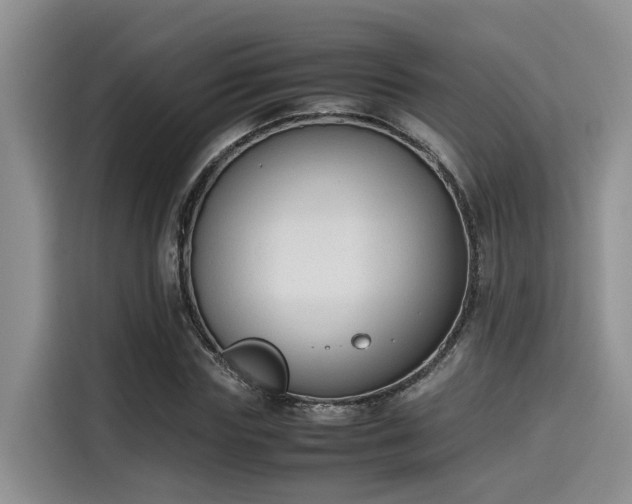 X0000115600827200911171126