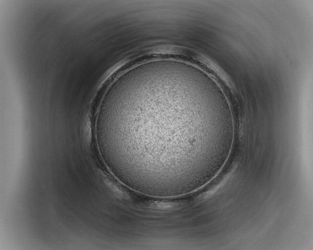 X0000115600829200911171126