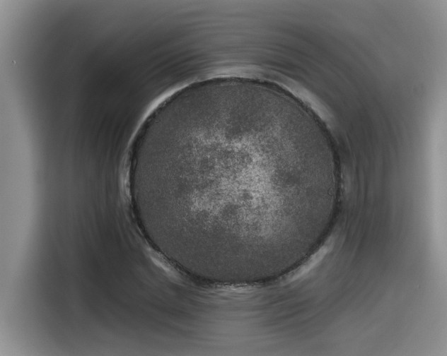 X0000115600830200911171126