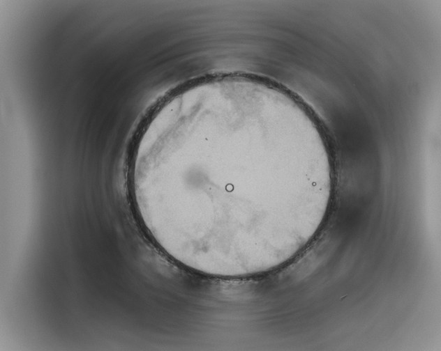 X0000115600832200911171126