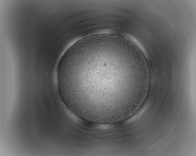 X0000115600835200911171126