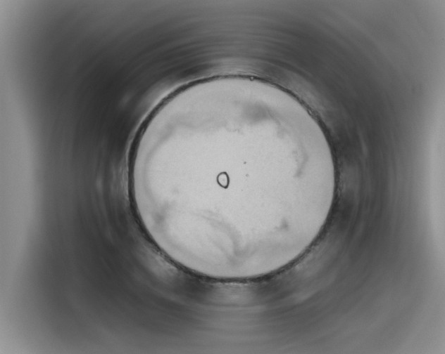 X0000115600836200911171126