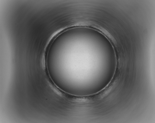 X0000115600838200911171126