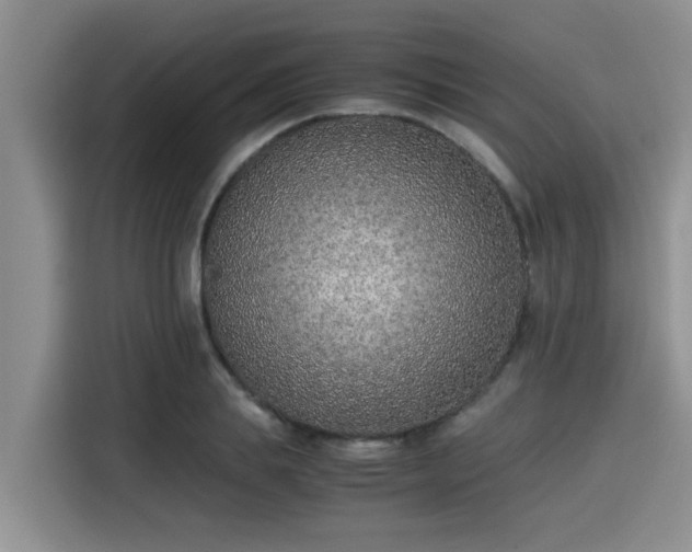 X0000115600839200911171126