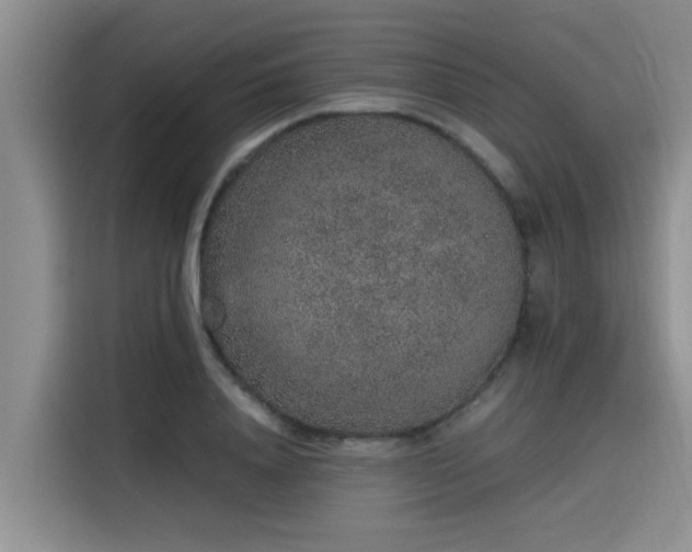 X0000115600840200911171126