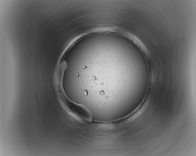 X0000115600844200911171126