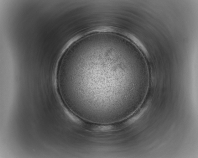 X0000115600845200911171126