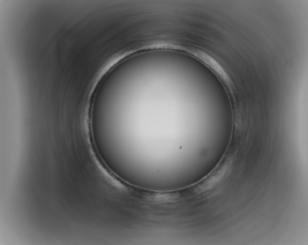 X0000115600847200911171127