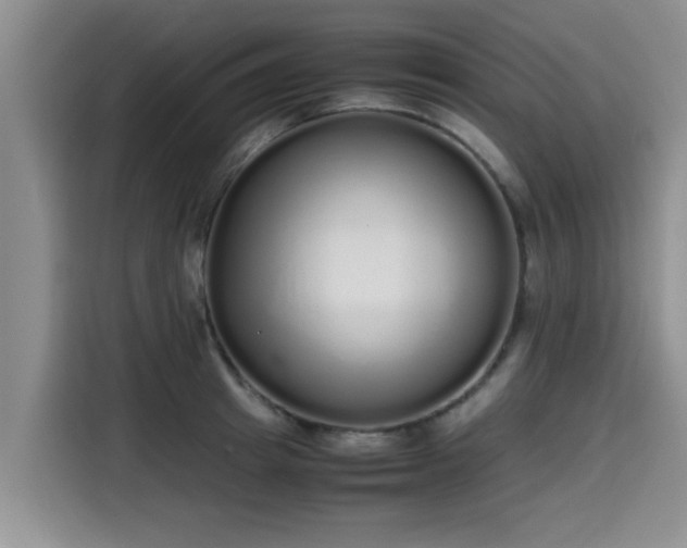 X0000115600849200911171127