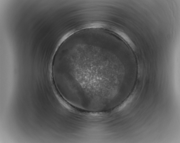 X0000115600850200911171127