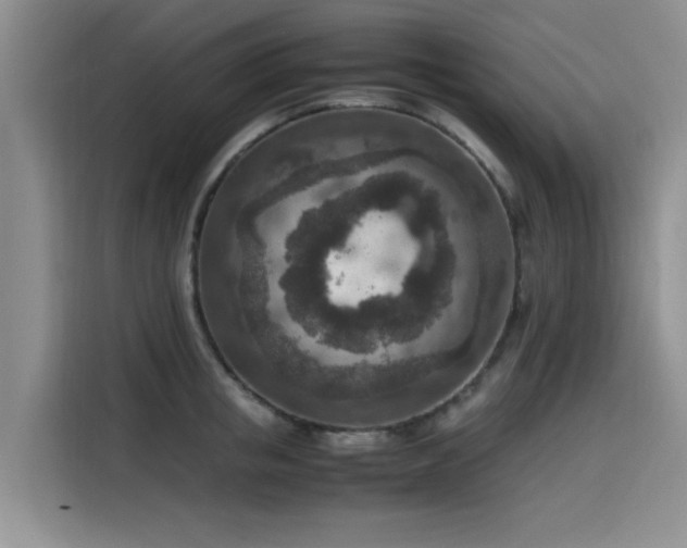 X0000115600853200911171127