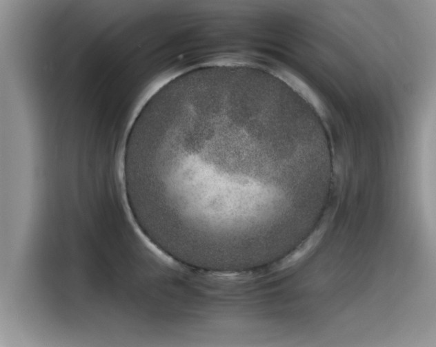 X0000115600855200911171127